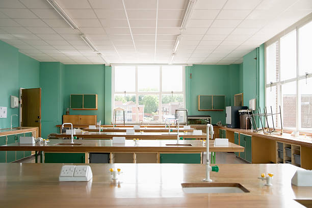 lab